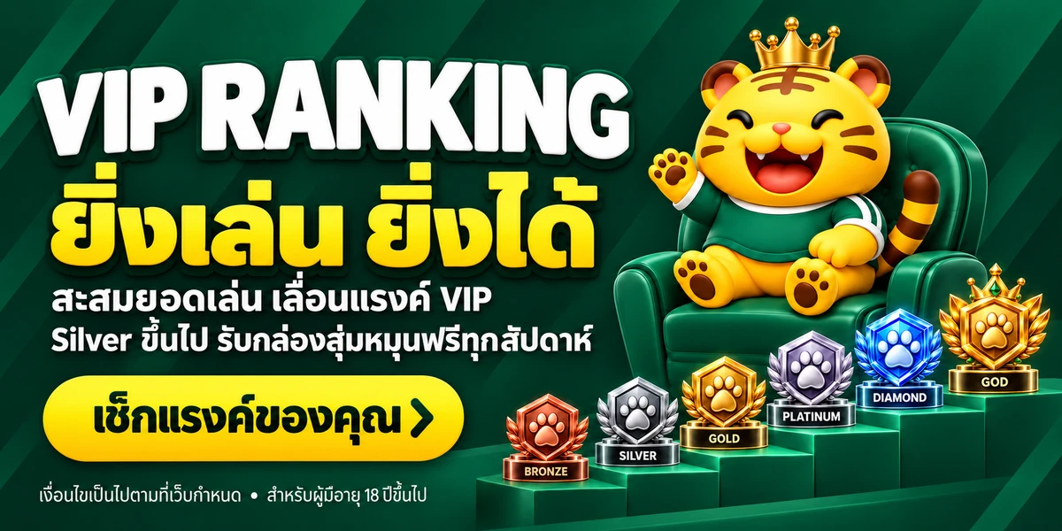 ระดับ VIP